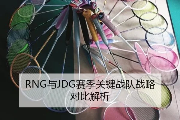 RNG与JDG赛季关键战队战略对比解析